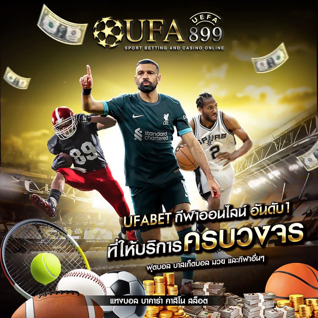 专业的seo优化公司